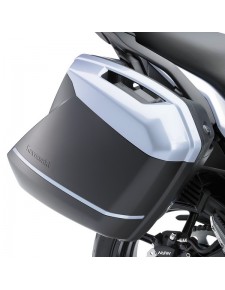 Couvercle peint valises latérales Kawasaki Versys 650 (2015 et +) | Réf. 99994042225Y