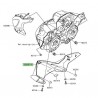 Habillage inférieur tête de fourche Kawasaki Z900 (2017-2019)