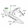 Garde-boue arrière Kawasaki Z900 (2017-2024)