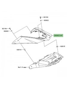 Coque arrière peinte Kawasaki Z1000 (2010-2013) | Moto Shop 35