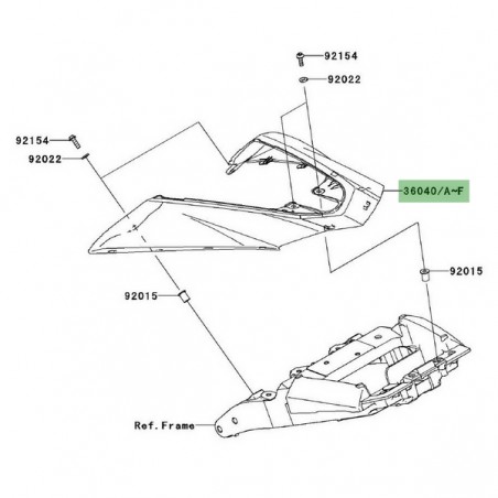 Coque arrière peinte Kawasaki Z1000 (2010-2013) | Moto Shop 35