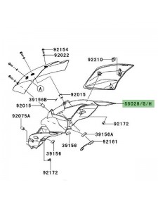 Tête de fourche peinte Kawasaki Z1000 (2010-2013) | Moto Shop 35