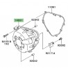 Carter d'alternateur Kawasaki Z1000 (2010-2013) | Réf. 140310131