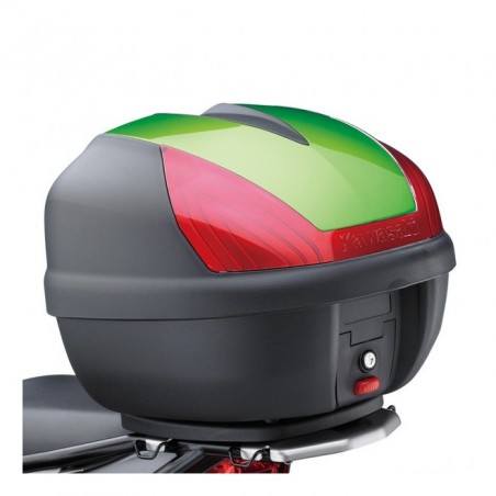Couvercle peint top case (30 litres) Kawasaki | Réf. 131LUU0033
