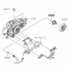 Ampoule H4 optique avant Kawasaki Z125 (2019-2021)