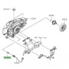 Veilleuse optique avant Kawasaki Z125 (2019-2024)