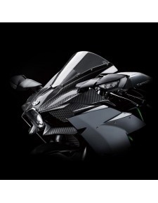 Tête de fourche en fibres de carbone Kawasaki Ninja H2 (2015 et +) | Réf. 999941006