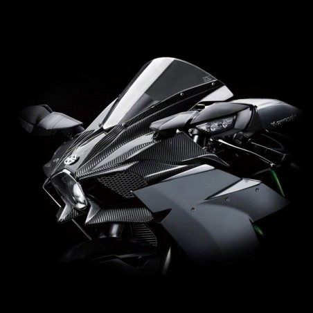 Tête de fourche en fibres de carbone Kawasaki Ninja H2 (2015 et +) | Réf. 999941006