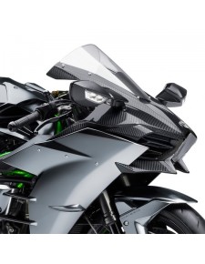 Tête de fourche en fibres de carbone Kawasaki Ninja H2 (2015 et +) | Réf. 999941006