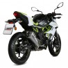 Silencieux MIVV Delta Race Inox Kawasaki Z125 (2019-2024) | Réf. K.048.LDRX