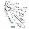 Entourage clignotants Kawasaki Ninja 400 (2018-2020)