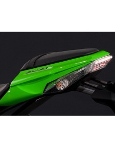PROTECTION KIT TAIL ZX10R