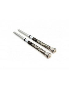 CARTOUCHES FOURCHE ÖHLINS ZX10R 2008-2010         