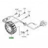 Alternateur Kawasaki KLX 125 (2010-2016) | Réf. 210030113 - 210030121