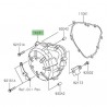 Carter d'alternateur Kawasaki Z900 A2/Full/SE (2020-2026) | Réf. 140310640