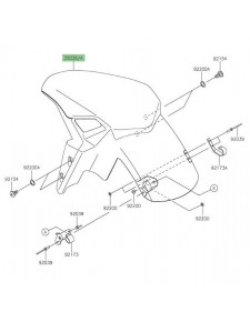 Garde-boue avant peint Kawasaki Z900 (2020-2024) | Moto Shop 35