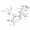 Habillage inférieur tête de fourche Kawasaki Z900 (2020-2024)