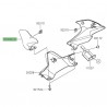 Flanc de tête de fourche Kawasaki Z900 (2020-2024)