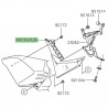 Écope de radiateur peinte Kawasaki Z900 (2020-2024)