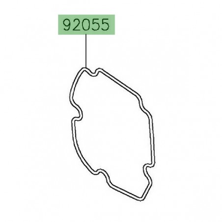 Joint torique carter d'allumage Kawasaki 920550199 | Moto Shop 35