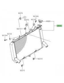 Radiateur d'origine Kawasaki Z900 (2020) | Réf. 390610813