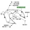 Habillage de réservoir peint Kawasaki ZZR 1400 (2006-2011)