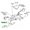 Tête de fourche peinte Kawasaki ZZR 1400 (2006-2011)