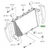 Radiateur Kawasaki Ninja 1000SX (2020-2021)