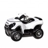 Décoration de sapin de Noël ATV Kawasaki | Réf. 271MGU226000