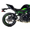 Ligne complète IXRace DCX Carbone Forgé Kawasaki Z650 (2020-2024)