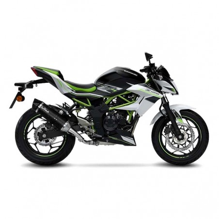 Silencieux LeoVince LV One Evo Carbone Kawasaki Z125 (2019-2024) | Réf. 14294E