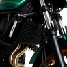 Grille de radiateur gravée "650" R&G Racing BRG0004BK