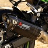 Silencieux carbone Akrapovic Kawasaki 258EXP0129