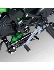 Shifter Up & Down Kawasaki Z900 A2 (2025) | Réf. 999942323