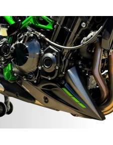 Sabot moteur Ermax Kawasaki Z900 (2025)