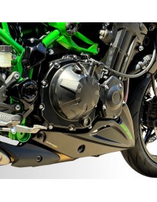 Sabot moteur Ermax Kawasaki Z900 (2025) | Moto Shop 35