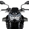 Ailerons latéraux effet carbone Puig D12 Kawasaki Z650 (2020-2025) | Réf. 22472C
