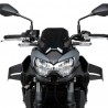 Ailerons latéraux Puig D12 Kawasaki Z650 (2020-2025)