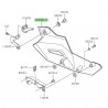 Sabot moteur peint Kawasaki Z900 (2025-2026)