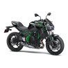 Pare-chaleur en carbone Zard |Moto Shop 35