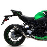 Silencieux Arrow GP2 Nichrom Dark 71556GPI Kawasaki Z900 (2020-2024) | Moto Shop 35