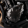 Pare-carter d'alternateur Carbone LighTech CARK8040 Kawasaki Z900 (2017-2026) | Moto Shop 35