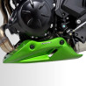 Sabot moteur Ermax Kawasaki Z650 S (2026-2027) | Moto Shop 35