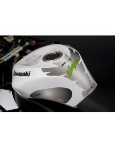 PROTECTION LAT. RES. ZX10R 2008