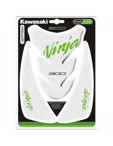 PROTECTION RESERVOIR NINJA 300                   