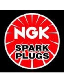 PLUG-SPARK SILMAR9B9(NGK)