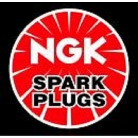 PLUG-SPARK SILMAR9B9(NGK)