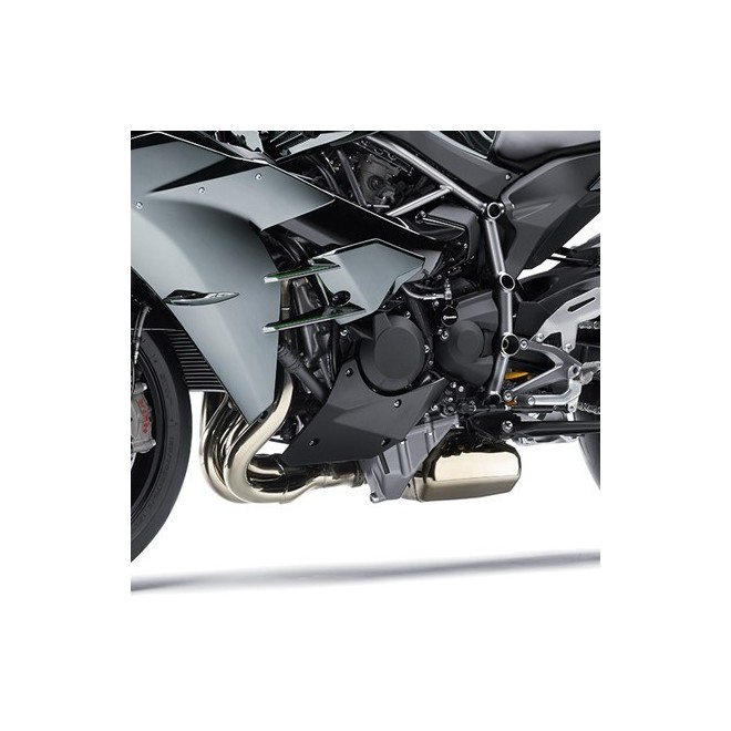 Sabot moteur gauche | Kawasaki Ninja H2 (2015-)
