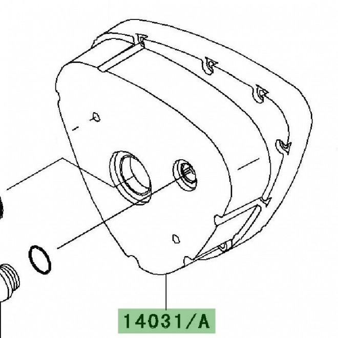 Carter d'alternateur | Kawasaki W800 (2011-2016)