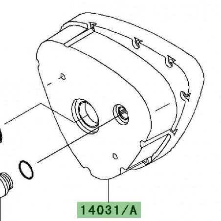 Carter d'alternateur | Kawasaki W800 (2011-2016)